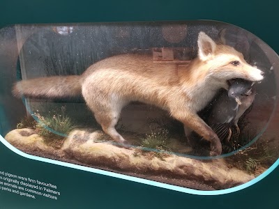 Enfield Museum